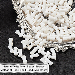 4 Strands Natural Freshwater Shell Beads Strands&nbsp;SHEL-NB0001-52