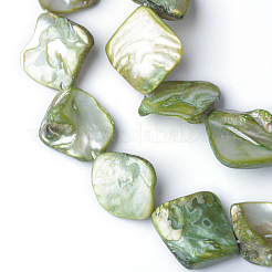 Natural Dyed Sea Shell Beads&nbsp;S00EA041