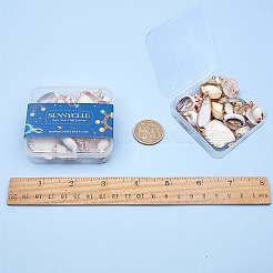 電気メッキナチュラルシェルペンダント  ゴールデンメッキ鉄パーツ  混合図形  貝殻色  20個/箱&nbsp;SSHEL-SC0001-03
