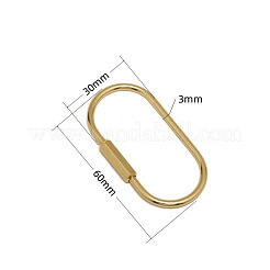 Brass Screw Carabiner Lock Charms&nbsp;KK-ZX025-62C