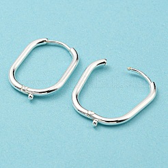 316 Surgical Stainless Steel Hoop Earrings Findings&nbsp;STAS-N097-055S