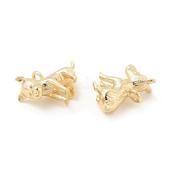 Brass Charms&nbsp;KK-G447-13G