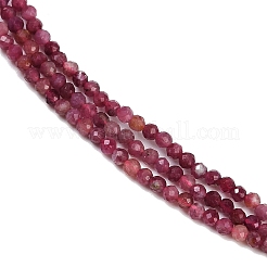天然のレッドトルマリンビーズ連売り  ラウンド  2mm  穴：0.5mm  約190個/連  14.96''（38センチメートル）&nbsp;G-RM250101-A14