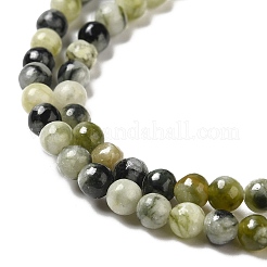 Natural Xiuyu Jade Beads Strands&nbsp;G-H298-A08-01