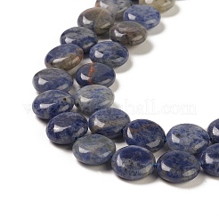 Natural Sodalite Beads Strands&nbsp;G-M403-C11