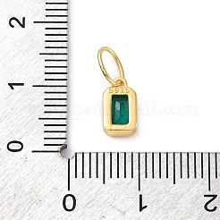 925 Sterling Silver Cubic Zirconia Charms&nbsp;STER-NH0014-01G-05