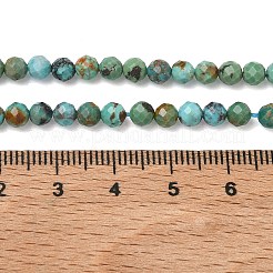 Natural HuBei Turquoise Beads Strands&nbsp;G-P629-A04-03