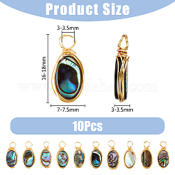 10Pcs Copper Wired Natural Abalone Shell/Paua Shell Pendants&nbsp;PALLOY-FI00001