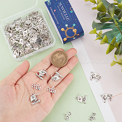 100Pcs 2 Styles Tibetan Style Alloy Charms&nbsp;TIBE-SC0001-88