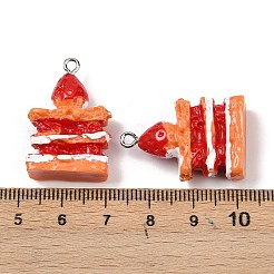 Spray Painted Opaque Resin Pendants&nbsp;RESI-F061-04