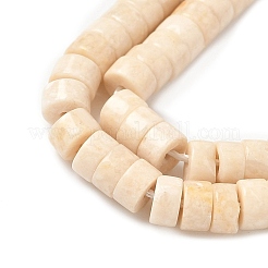Natural Fossil Beads Strands&nbsp;G-H230-11