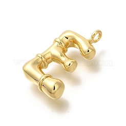 Rack Plating Brass Pendants&nbsp;KK-I722-08G-E