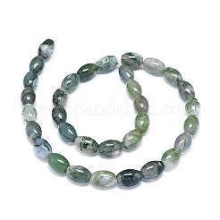 天然石モスアゲートビーズ連売り  染め＆加熱  ライス  11.5~12x7.5~8mm  穴：0.7mm  33個/連  15.55インチ（39.5 cm）&nbsp;G-D0005-10