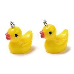 Opaque Resin Pendants&nbsp;CRES-M023-01