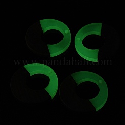 Luminous Glow in the Dark Wood & Resin Pendant&nbsp;WOOD-H104-16