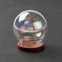 ガラスドームカバー  装飾ショーケース  クローシュベルジャーテラリウムウッドベース付き  透明  40x44mm&nbsp;ODIS-I003-01C