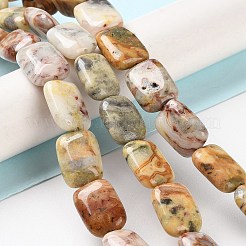 Natural Crazy Lace Agate Beads Strands&nbsp;G-K357-D08-01