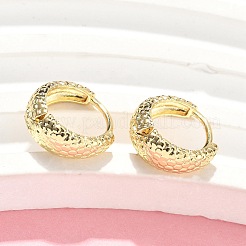 テクスチャー加工を施した真鍮フープピアス  ラックめっき  鉛フリー＆カドミウムフリー  長持ちメッキ  18KGP本金メッキ  13.5x14x5.5mm&nbsp;EJEW-Z102-08G