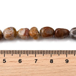 Natural Petrified Wood Beads Strands&nbsp;G-L621-C11-01