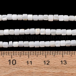 Natural Freshwater Shell Beads Strands&nbsp;SH-CBA2978-21C