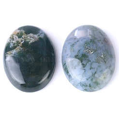 Natural Indian Agate Cabochons&nbsp;PW-WG8E62B-01