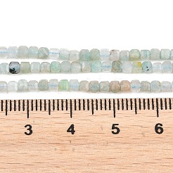 天然フラワーアマゾナイトビーズ連売り  キューブ  2x2x2mm  穴：0.5mm  約190個/連  14.96''（38センチメートル）&nbsp;G-RM250104-D1