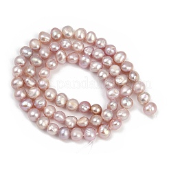 天然養殖淡水パールビーズ連売り  研磨両側  グレード3 A  アザミ  5~5.5mm  穴：0.6mm  約66個/連  13.66~13.86''（35.2センチメートル）&nbsp;PEAR-P064-19E-04B