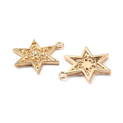 亜鉛合金チャーム  カドミウムフリー＆鉛フリー  スター  ゴールドカラー  23x17x2mm  穴：1.8mm&nbsp;X-FIND-I017-01G
