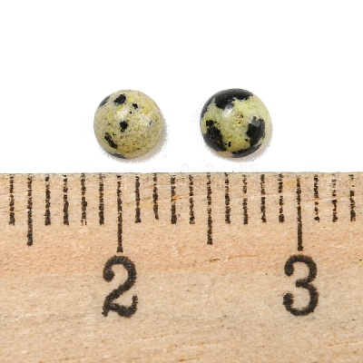 Natural Dalmatian Jasper Cabochons&nbsp;G-H309-03-50-1