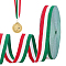 Polyester Braid Ribbon, Flat, Stripe Pattern, Garment Accessories, Colorful, 1-1/8 inch(30mm)