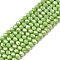 Electroplate Glass Beads Strands, Opaque Solid Color, AB Color Plated, Faceted, Rondelle, Olive Drab, 2.9~3.3x2mm, Hole: 0.8mm, about 135~140pcs/strand, 32~34cm