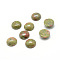 Natural Unakite Gemstone Cabochons, Half Round, 8x4mm