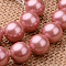Polished Round Grade A Shell Pearl Bead Strands, Indian Red, 5.5~6mm, Hole: 1mm, about 64pcs/strand, 15.7 inch