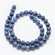 Natural Lapis Lazuli Beads Strands&nbsp;X-G-E489-01-8mm-2