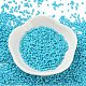 Baking Paint Glass Seed Beads&nbsp;SEED-S042-05B-58-2