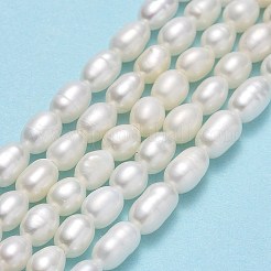 天然養殖淡水パールビーズ連売り  ライス  リネン  4.5~6.5x3.5~4mm  穴：0.6mm  約64~71個/連  14.57''~14.96