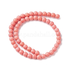 Synthetic Turquoise Beads Strands&nbsp;G-P505-07A