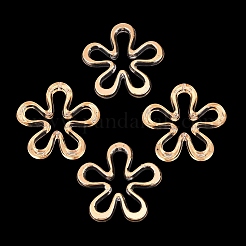 Transparent Acrylic Beads&nbsp;AC-N166-10F