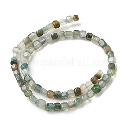 Natural Dragon Veins Agate(Dyed & Heated) Beads Strands&nbsp;G-G177-E11-03