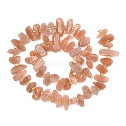 Natural Sunstone Beads Strands&nbsp;G-F821-A04-01
