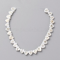 Natural White Shell Beads Strands&nbsp;SHEL-WH0002-11
