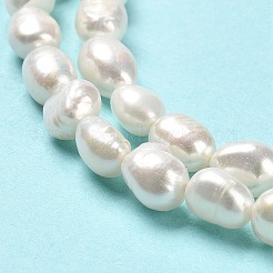 天然養殖淡水パールビーズ連売り  研磨両側  グレード4 A  リネン  6~12x5~6mm  穴：0.5mm  約49~50個/連  13.78~14.02インチ（35~35.6cm）&nbsp;PEAR-E016-066