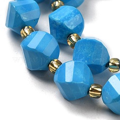 Dyed Natural Howlite Beads Strands&nbsp;G-G023-B01-02A