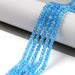 Cat Eye Beads Strands&nbsp;CE-G009-01D
