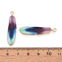 合金エナメルチャーム  ゴールドカラー  フェザーチャーム  ミディアム蘭  38x8.5x1.5mm  穴：1.6mm&nbsp;FIND-G078-34G-03