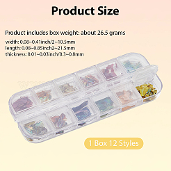 1 Set 12 Colors Shell Slices&nbsp;MRMJ-SP0001-05A