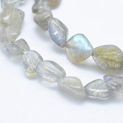 Natural Labradorite Beads Strands&nbsp;G-K203-12