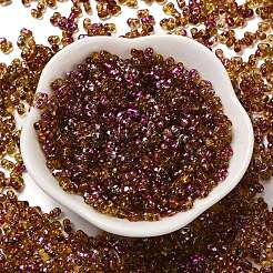 Spray Painted Glass Seed Beads&nbsp;SEED-F005-03A-01