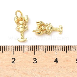 Brass Pendants&nbsp;KK-I355-10G