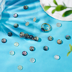 90Pcs 3 Colors Acrylic Imitation Shell Cabochons&nbsp;MACR-PH0001-65A